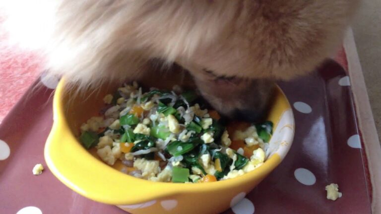 【ペットに手作り食・モフモフごはん】炒飯　ｏｒ　炒め物？