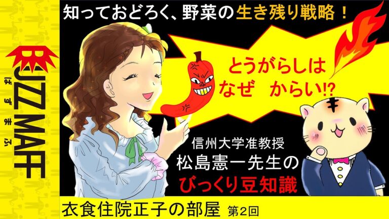 「＃唐辛子　はなぜ辛い？！」信州大学准教授＃松島憲一　先生が語るびっくり豆知識！　現役官僚が一人で作る無謀なアニメ＃衣食住院正子　の部屋第2回。