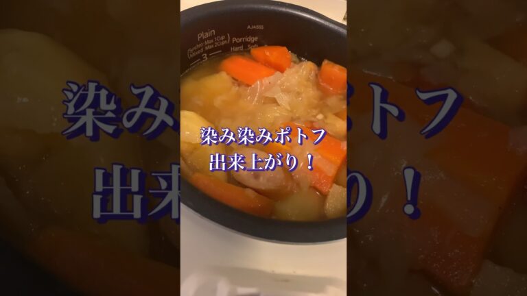家族に炊飯器バレしない絶品ポトフ　主婦のぼっちご飯 #ズボラ飯 #炊飯器レシピ #野菜レシピ