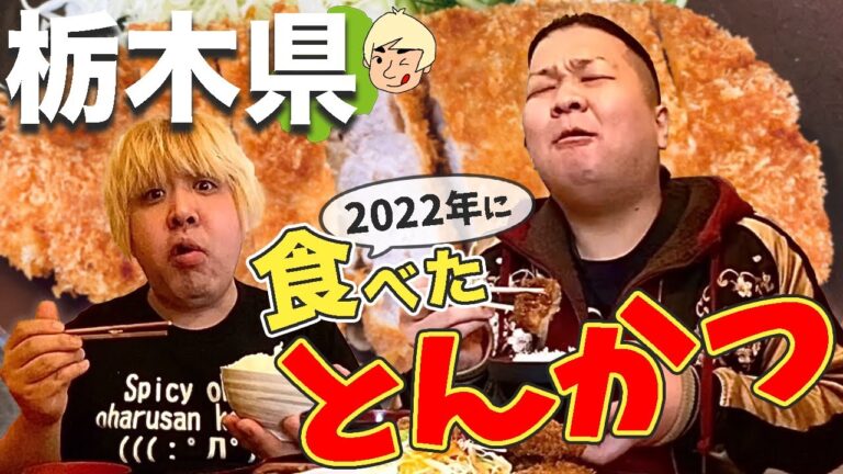 【栃木グルメ】ボリューム満点！2022年に食べたとんかつまとめ
