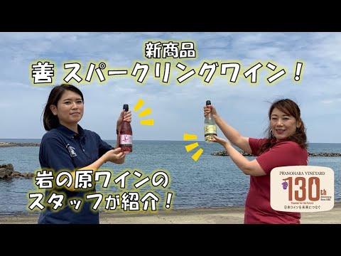 【岩の原ワイン】新商品「善 スパークリングワイン」をご紹介！【アウトドアにいかがですか♪】