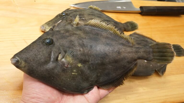 カワハギの骨酒（こつざけ）とヒレ酒（ひれざけ）の作り方