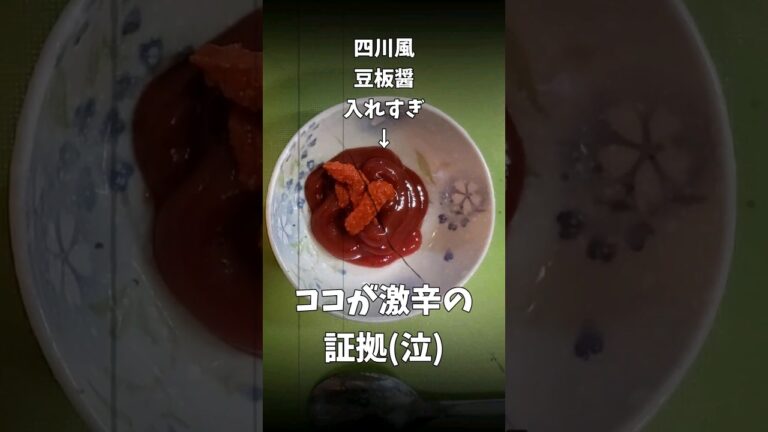 【寝坊したら激辛】パパと娘の毎日弁当 【鶏のチリソース】20231122　#弁当 #手作り弁当 #料理男子 #節約 #激辛 #貧乏飯 #激安 #適当 #簡単 #レシピ #四川風 #豆板醤