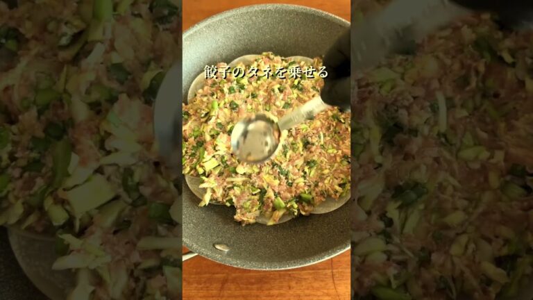 包まないのにガツンとうまい！新キャベツ餃子がヤバい #shorts