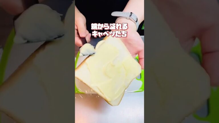※持っていく時のため後でしっかり包みました🥪 #お弁当動画 #作り置き弁当 #お弁当詰め方 #作り置き #サンドイッチ