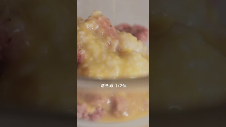 【驚きのふわふわ感】絶品ハンバーグの作り方・レシピ l 発酵食品でやわらか