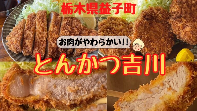 【人気店の肉厚やわらかロースカツとヒレカツが最高だった！】とんかつ吉川(よしかわ)【栃木県益子町】131
