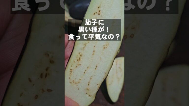 茄子を切ったら茶色や黒い種が！食っても平気なの？なすの冷蔵、冷凍保存方法 ライフハック 茄子見分け方 ハウツー