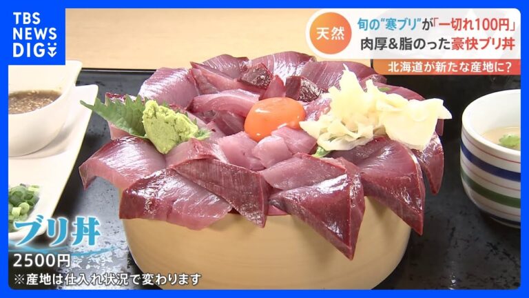 お茶を混ぜて“しっとり甘い”幻のブランド「茶ぶり」に舌鼓　冬の味覚「寒ブリ」の季節が到来！｜TBS NEWS DIG