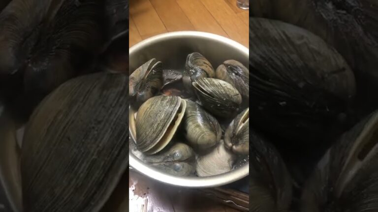 白ハマグリの酒蒸し