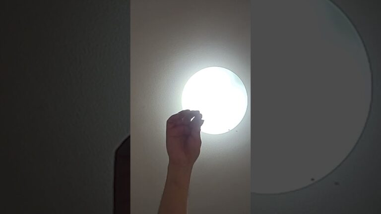 今日の晩ごはんはこれ！カラマシー春雨サラダが止まらない