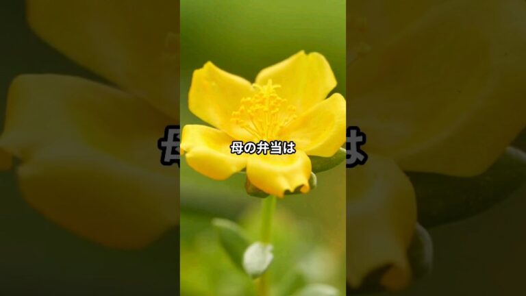 あのハンバーグの味 【感動】