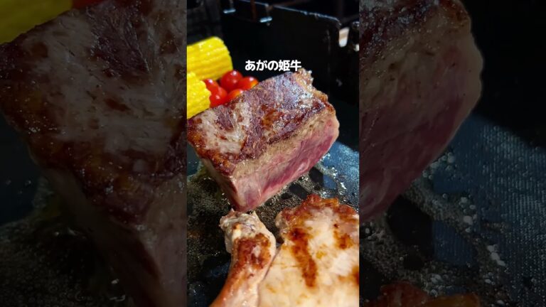 【川沿いで楽しめる手ぶらBBQ】新潟グルメ【公式】#新潟　#新潟グルメ　#新潟観光　#japanesefood  #niigata　#shorts  #yummy  #新潟グルメ【公式】