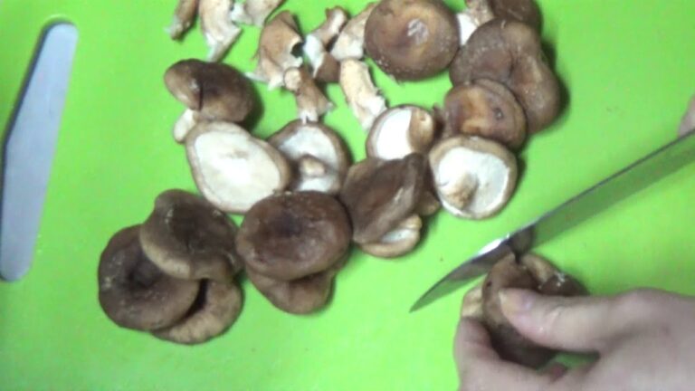 【常備菜】しいたけの佃煮作ります☆