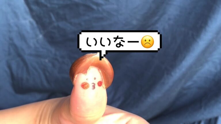 【字幕付き】親子で栗とり、栗の下処理、栗ご飯🌰