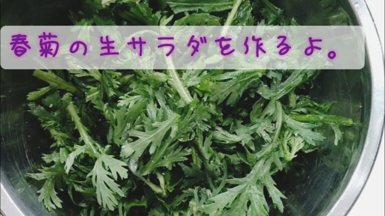 【サラダ】春菊は生で食べるとおいしい。春菊の生サラダを作るよ。