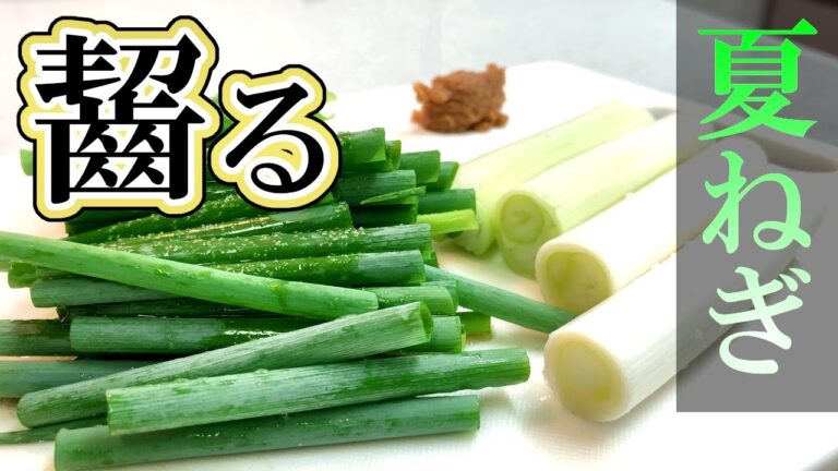 【夏ねぎ】これぞ原点かつ頂点！超簡単秒速レシピ！【小ねぎ】