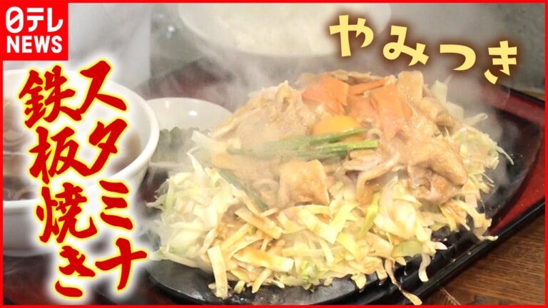 【クセになる味】秘伝のタレは門外不出！キャベツどっさり鉄板焼き『every.特集』