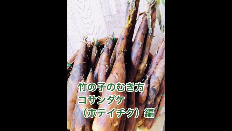 【竹の子】コサンダケ（古参竹）簡単な皮むきとアク抜き/筍の下処理