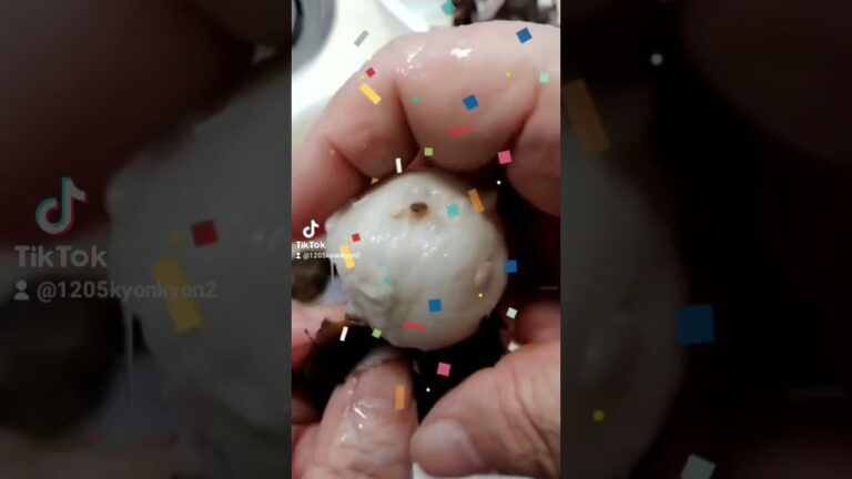 ﾚﾝﾁﾝ里芋ツルリっと剥いて田樂に。