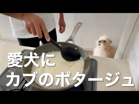【簡単レシピ】愛犬のカブのポタージュの作り方！
