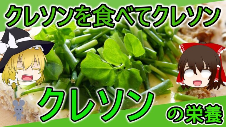 【ゆっくり解説】付け合わせも食べて！クレソンの栄養について解説します。
