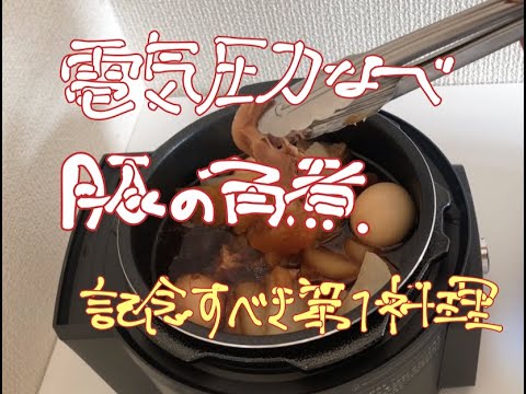 『料理』電気圧力なべ　豚の角煮　っぽいの編