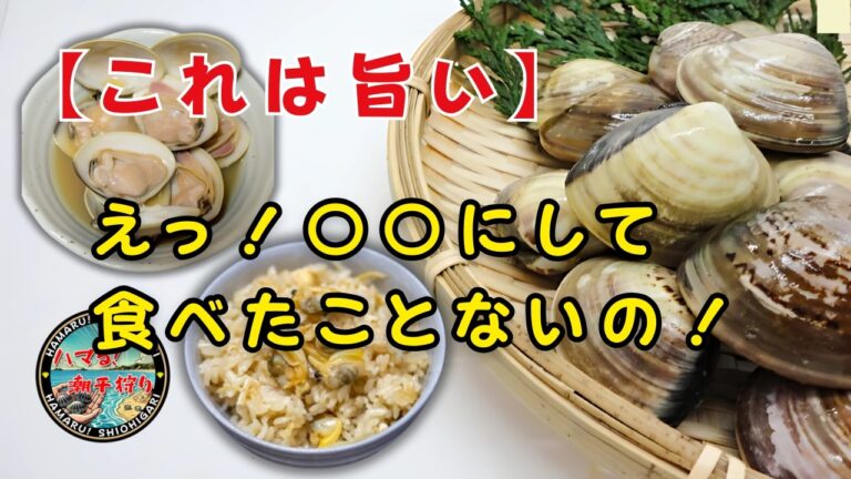 【潮干狩りの極み】アサリ＆ハマグリで作る絶品レシピ8選！ボンゴレ・味噌汁・パエリアも！【簡単調理】