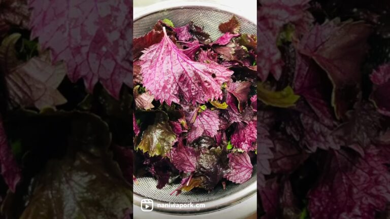 生えすぎた赤紫蘇でジュース作りました