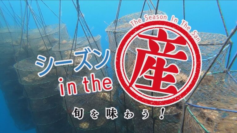 シーズンinthe産「青森市奥内・ほたて」【イケメン漁師バター焼き】⑬