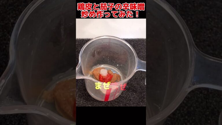 激うま！鶏皮と茄子の辛味噌炒め作ってみた！【今日の晩ごはん】 #料理男子 #food #shorts