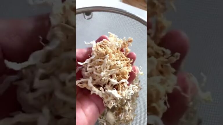 切り干し大根。簡単手作り方法