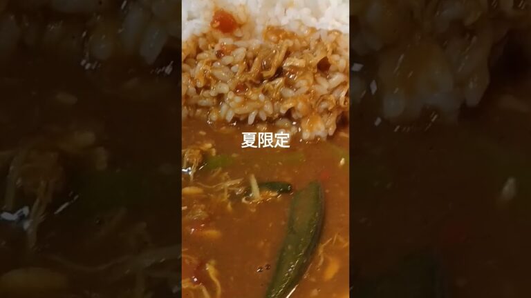 カレーハウスCoCo壱番屋　チキンと夏野菜カレー　お昼151