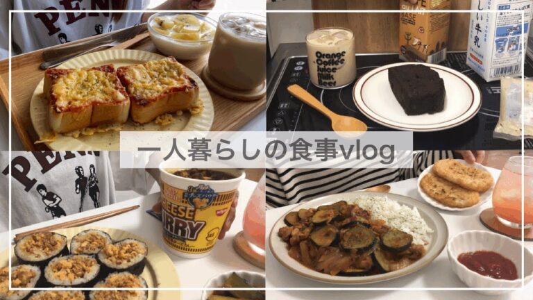 一人暮らし自炊派の食事vlog🍙🍜/キムたま海苔巻きを作ってカップヌードルを食べる/フィットチーネパスタ、豚肉とズッキーニの炒め物、厚切りチョコケーキ