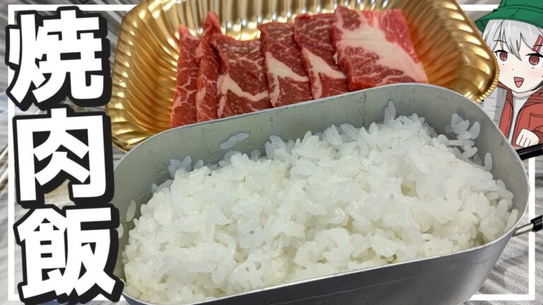 【白飯+肉】ゆっくりは白飯を炊いて焼肉ダンクを決めたい【料理】【ゆっくり実況】
