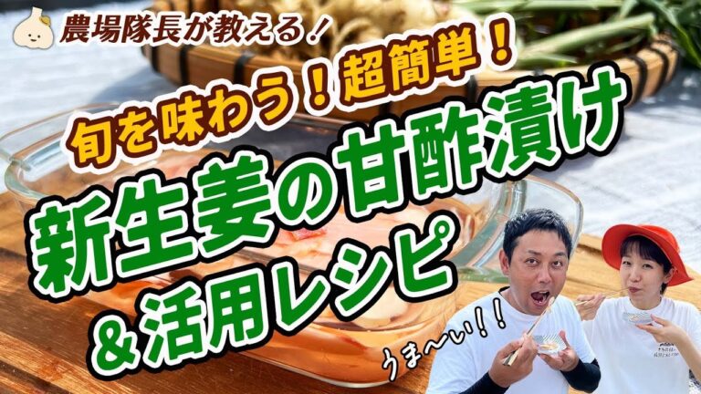 農家直伝！新生姜の甘酢漬け【ガリ・簡単レシピ・作り置き】