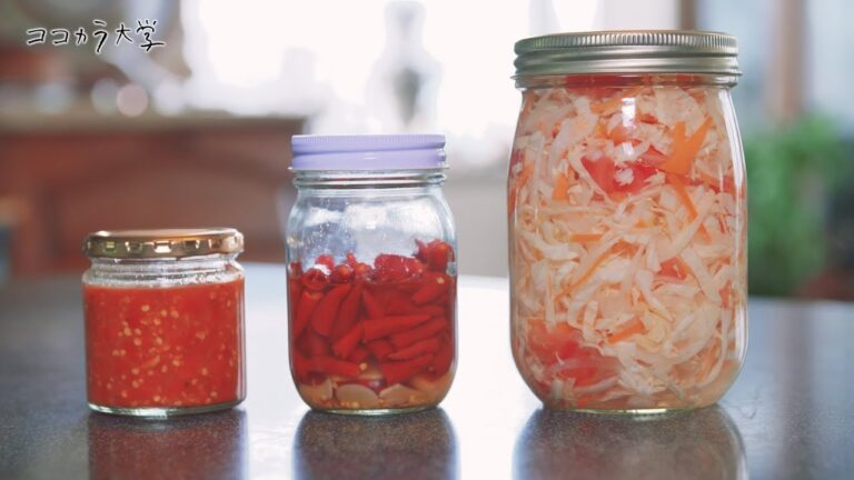 おいしく健康づくり　乳酸発酵漬け講座　ダイジェスト