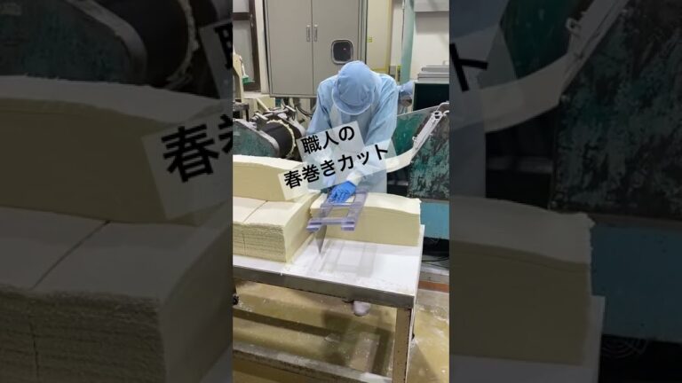職人による春巻きの皮カット動画♪ #春巻きの皮 #井辻食産 #お米の皮 #米粉専用工場