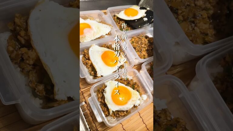 作り置きタッパー弁当𐩢𐩺ガパオライス🍚🔥