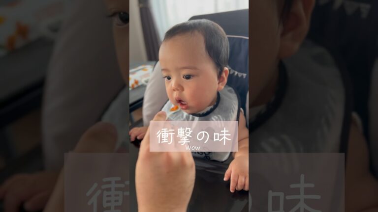 トマトが苦手なようです🍅#赤ちゃんのいる生活 #babylife #赤ちゃん #癒し #子育て #育児 #生後9ヶ月