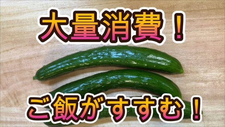 大量消費！　ご飯がすすむ！　【きゅうりの佃煮　】～きゅうりのきゅうちゃん～