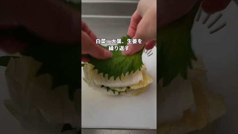#お手軽レシピ 🍻＜白菜と大葉のミルフィーユ浅漬け＞👩‍🍳#shorts #簡単レシピ