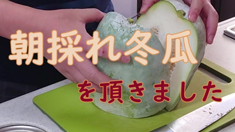 #JUN家のごはん 我が家の晩御飯🌃🍴