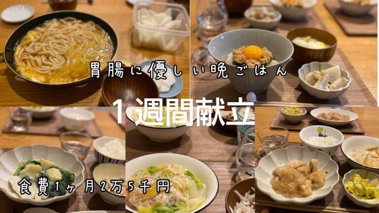 【平日５日間ぱぱっと献立#5】あっさり献立◎年末年始おつかれ気味の胃腸に◎時短レシピ満載／簡単献立／１週間献立／うどん／鶏むね肉