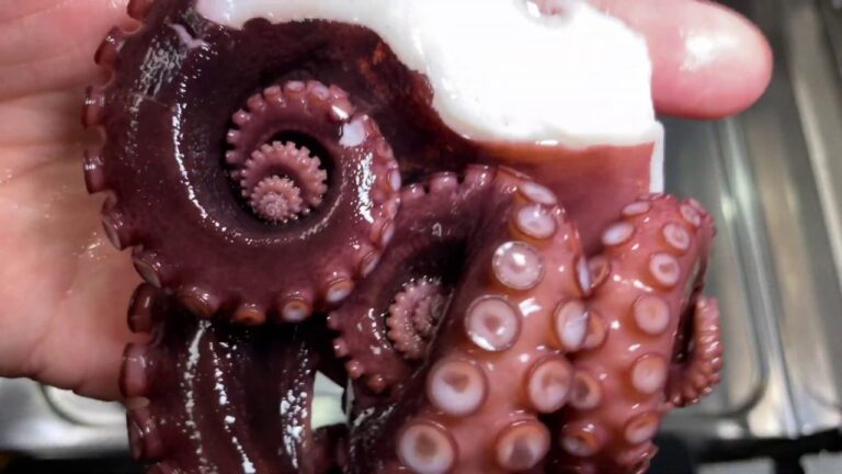 （簡単で美味しい）タコもずく酢