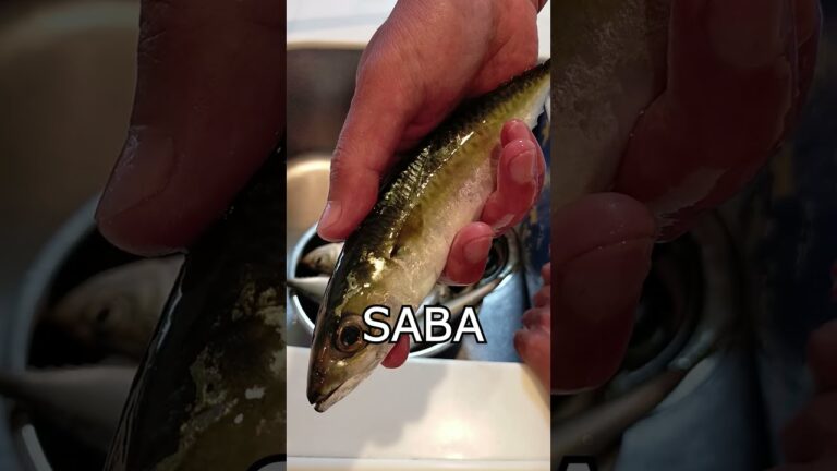 【釣って食べる】さばの味噌煮 手抜き料理 #Shorts