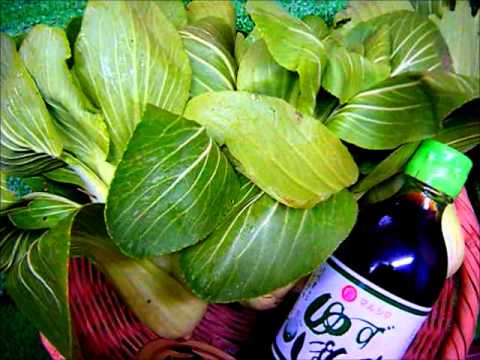 無農薬野菜・有機野菜　青梗菜炒め