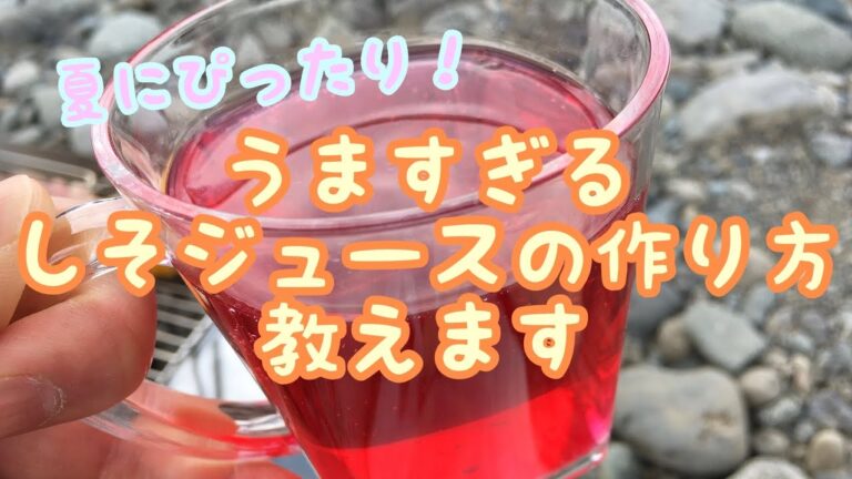 【超簡単】これからの季節にぴったり！誰でも作れるしそジュースの作り方！