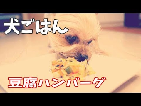【犬ごはん】豆腐ハンバーグ 野菜もタンパク質も取れてめっちゃ好き！tofu hamburg for my dog by handmade