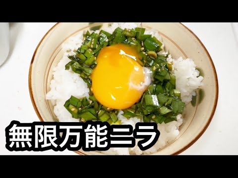 【無限ニラ】ピリ辛スタミナ万能ニラだれ【作り置き常備菜】